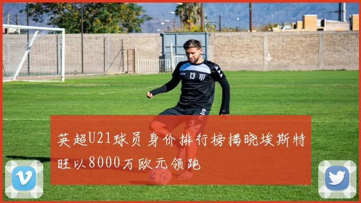 英超U21球员身价排行榜揭晓埃斯特旺以8000万欧元领跑